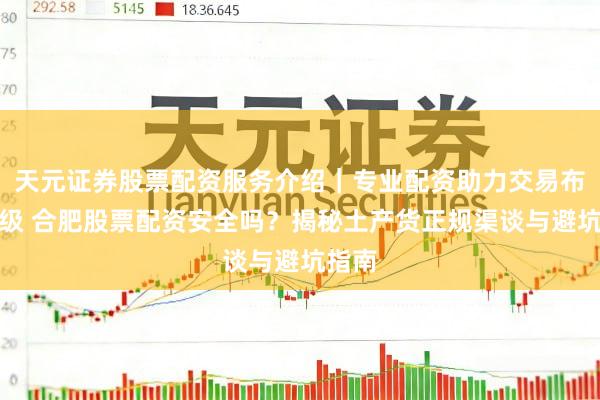 天元证券股票配资服务介绍｜专业配资助力交易布局升级 合肥股票配资安全吗？揭秘土产货正规渠谈与避坑指南