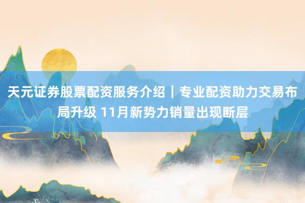 天元证券股票配资服务介绍｜专业配资助力交易布局升级 11月新势力销量出现断层