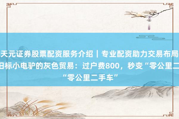 天元证券股票配资服务介绍｜专业配资助力交易布局升级 旧标小电驴的灰色贸易：过户费800，秒变“零公里二手车”