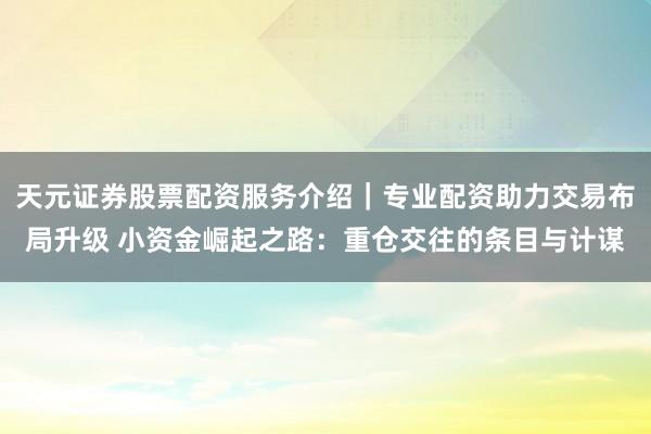 天元证券股票配资服务介绍｜专业配资助力交易布局升级 小资金崛起之路：重仓交往的条目与计谋