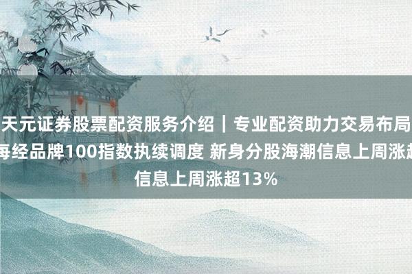 天元证券股票配资服务介绍｜专业配资助力交易布局升级 每经品牌100指数执续调度 新身分股海潮信息上周涨超13%