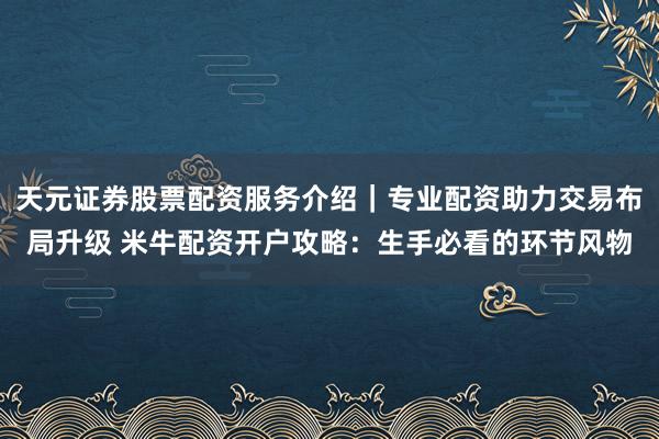 天元证券股票配资服务介绍|专业配资助力交易布局升级 米牛配资开户攻略:生手必看的环节风物