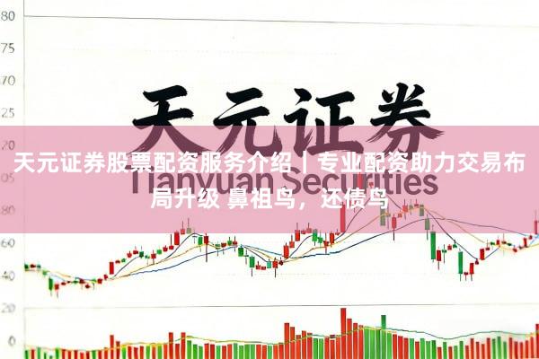 天元证券股票配资服务介绍｜专业配资助力交易布局升级 鼻祖鸟，还债鸟