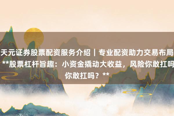 天元证券股票配资服务介绍｜专业配资助力交易布局升级 **股票杠杆旨趣：小资金撬动大收益，风险你敢扛吗？**