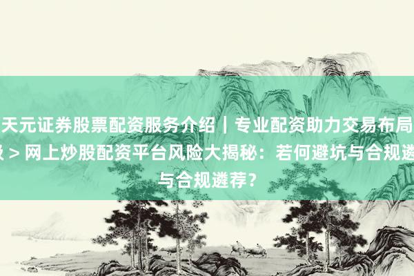 天元证券股票配资服务介绍|专业配资助力交易布局升级 > 网上炒股配资平台风险大揭秘:若何避坑与合规遴荐?