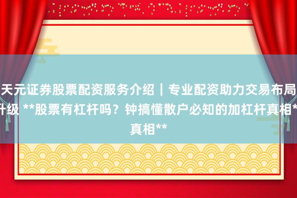 天元证券股票配资服务介绍|专业配资助力交易布局升级 **股票有杠杆吗?钟搞懂散户必知的加杠杆真相**
