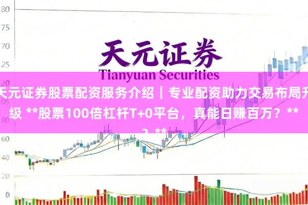 天元证券股票配资服务介绍｜专业配资助力交易布局升级 **股票100倍杠杆T+0平台，真能日赚百万？**